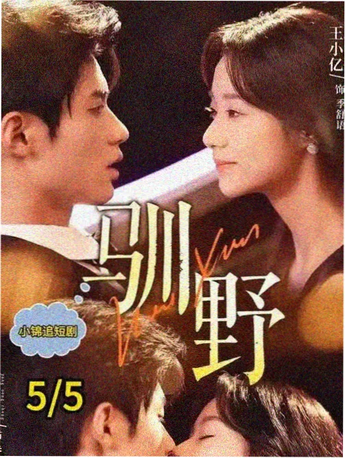 雾岭旧事海报